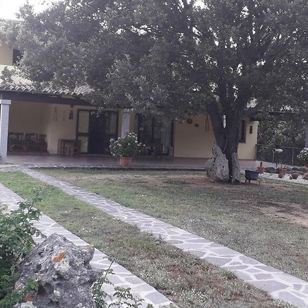 Agriturismo La Tuva Βίλα Padru Εξωτερικό φωτογραφία