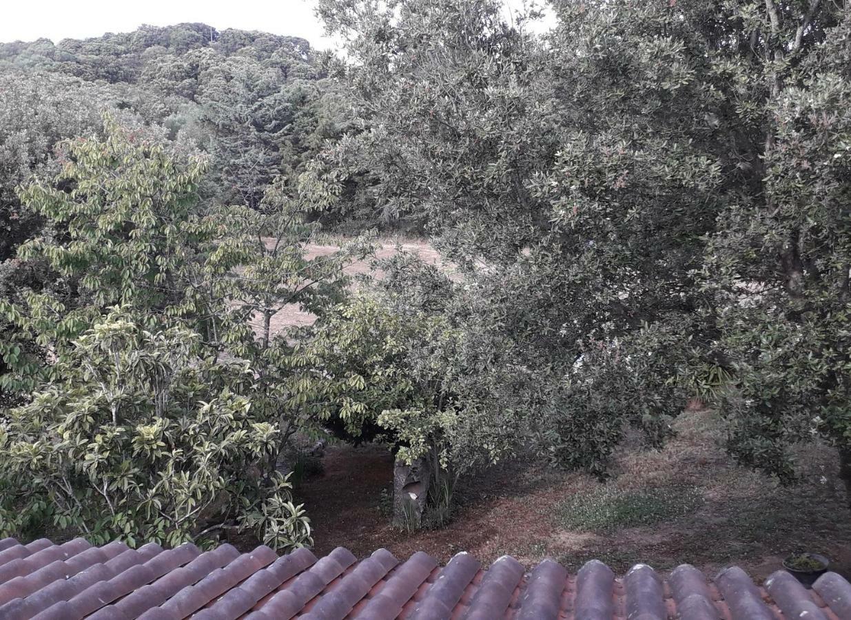 Agriturismo La Tuva Βίλα Padru Εξωτερικό φωτογραφία