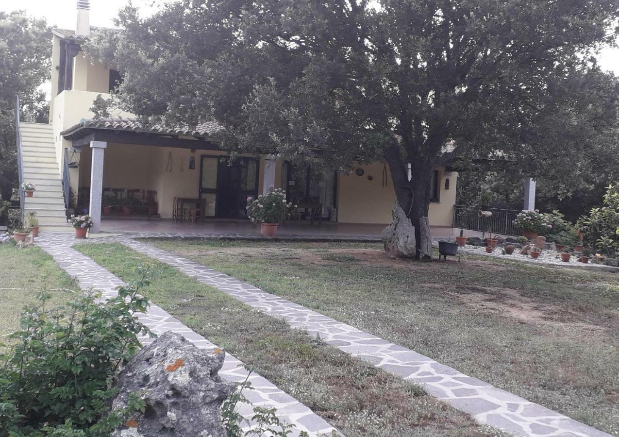 Agriturismo La Tuva Βίλα Padru Εξωτερικό φωτογραφία