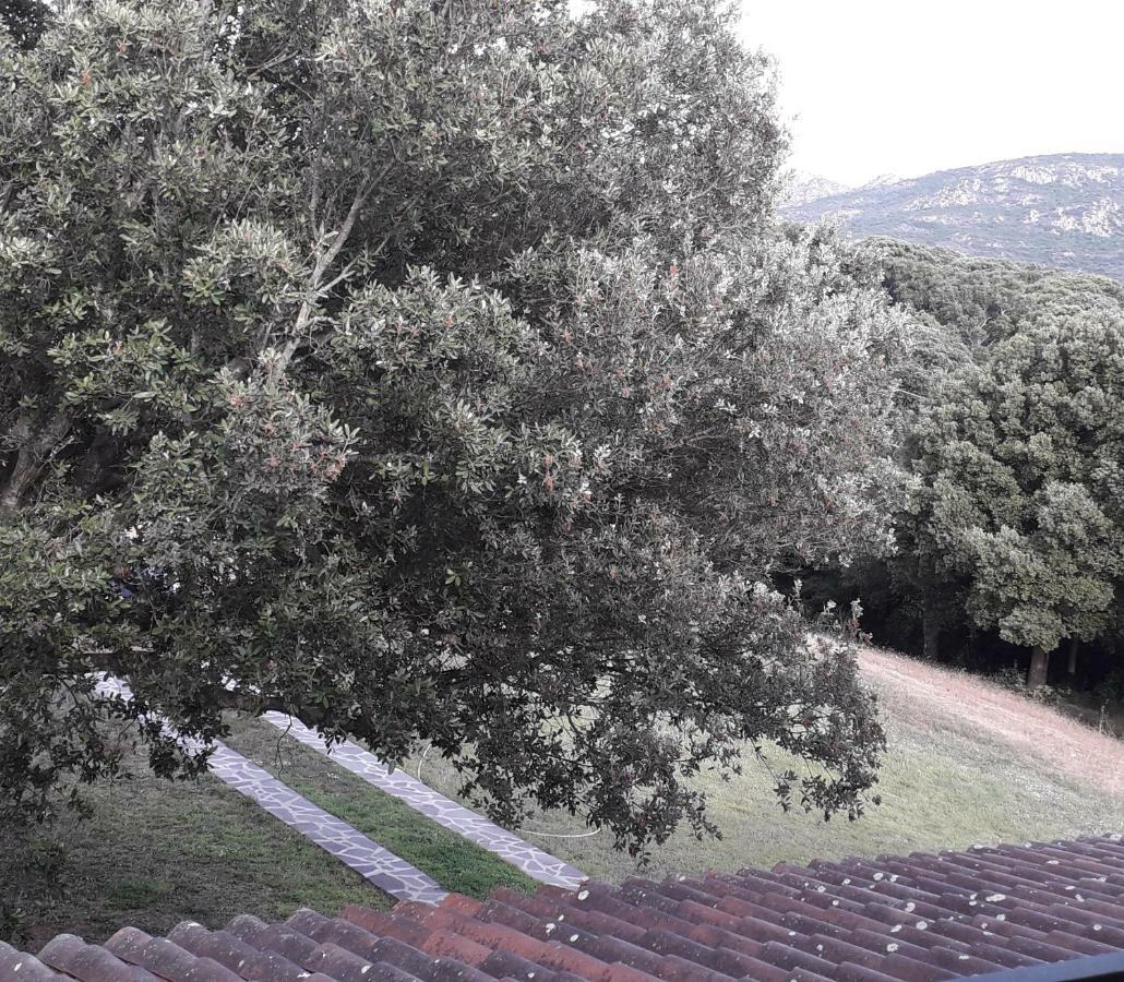 Agriturismo La Tuva Βίλα Padru Εξωτερικό φωτογραφία