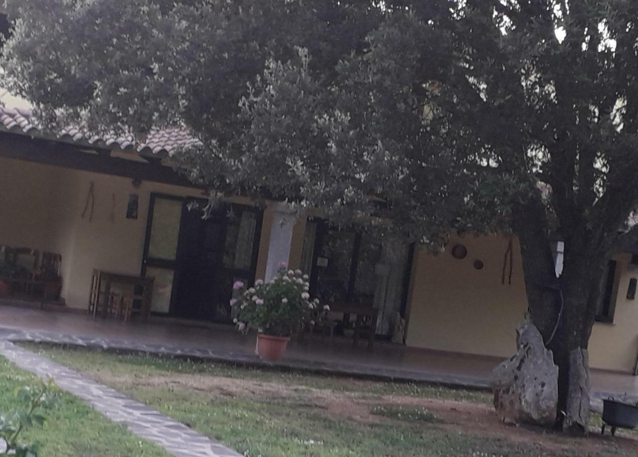 Agriturismo La Tuva Βίλα Padru Εξωτερικό φωτογραφία