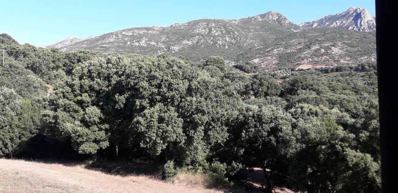 Agriturismo La Tuva Βίλα Padru Εξωτερικό φωτογραφία