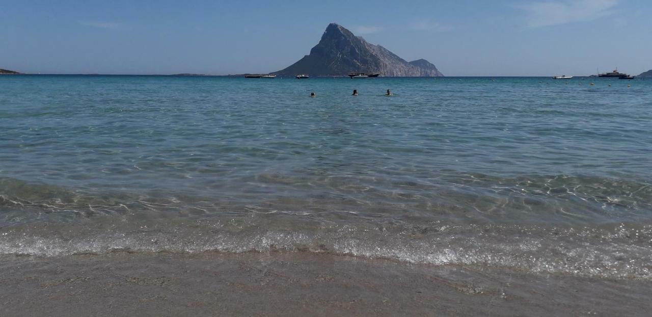 Agriturismo La Tuva Βίλα Padru Εξωτερικό φωτογραφία